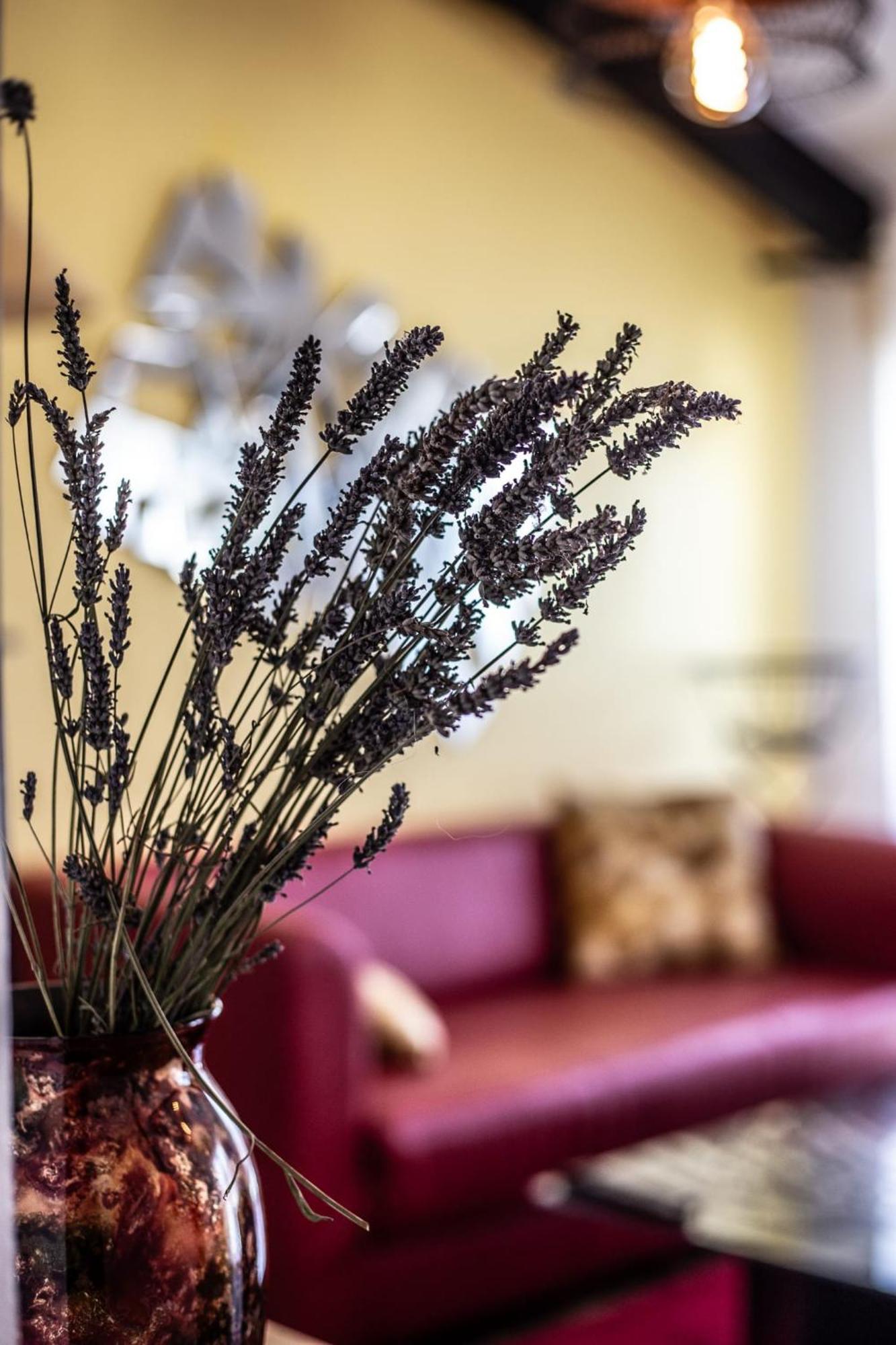 Le Dupe Aparthotel Brissac-Quince Екстериор снимка